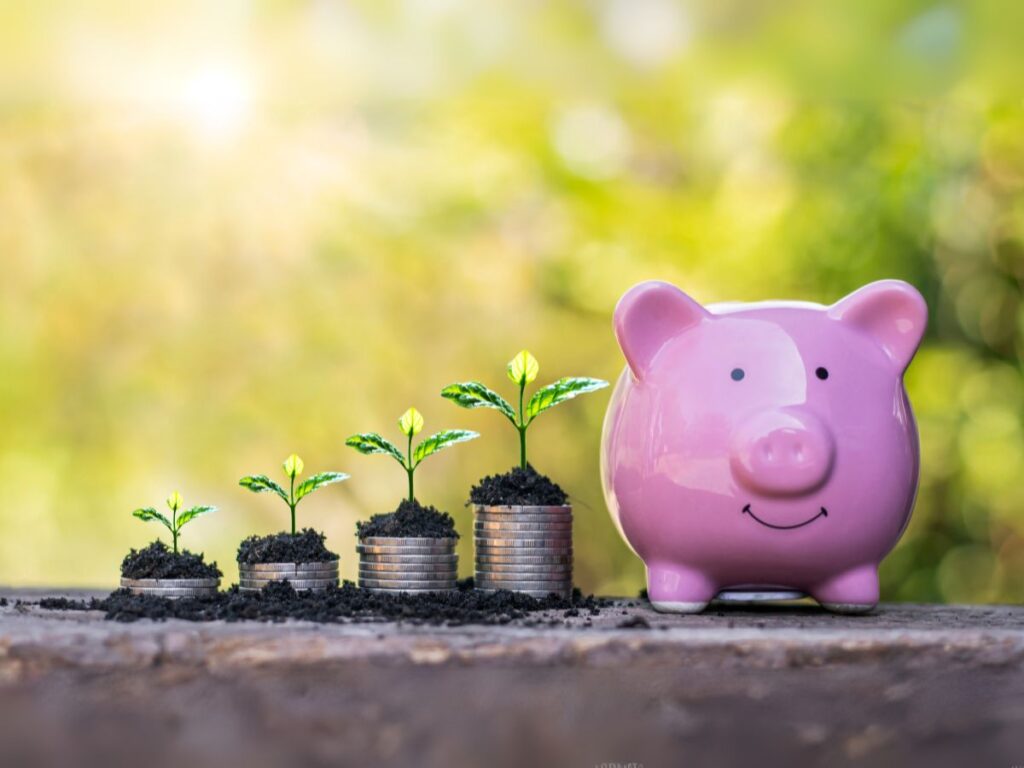 Stacks of coins and rolls of bills juxtaposed with seedlings and trees blooming, demonstrating why financial literacy is important