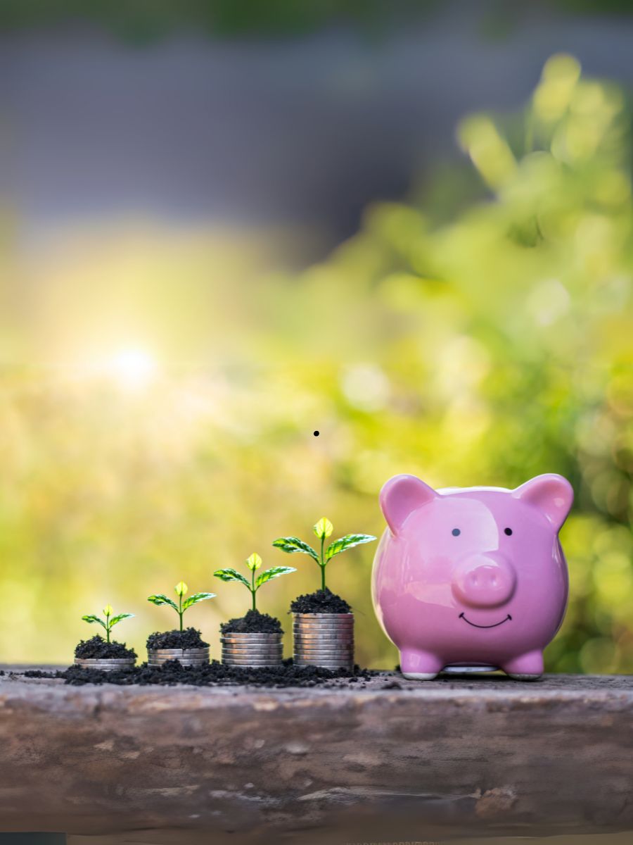 Stacks of coins and rolls of bills juxtaposed with seedlings and trees blooming, demonstrating why financial literacy is important